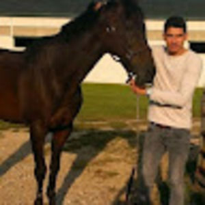 Meet your Posher, Ernesto